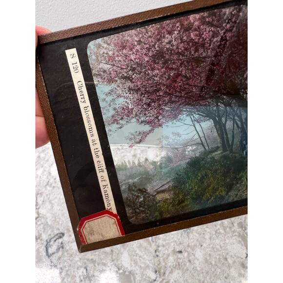 Antique Magic Glass Lantern Slide Cherry Blossoms at the Cliff of Kamony JL - Picture 2 of 4